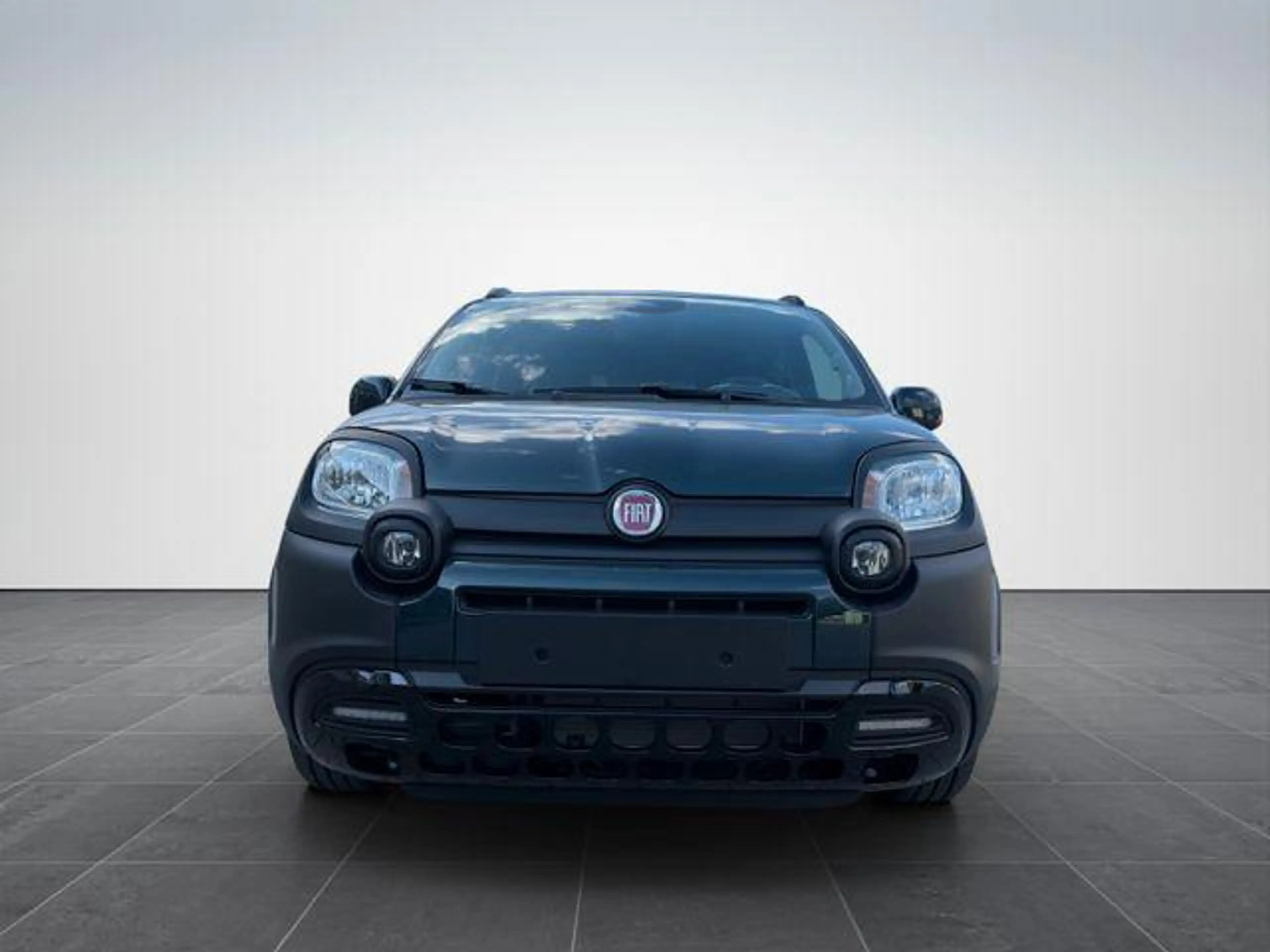 Fiat Panda Pandina Cross 1.0/PDC H/ 7" BildS/PDC 51 kW (69... — photo 2