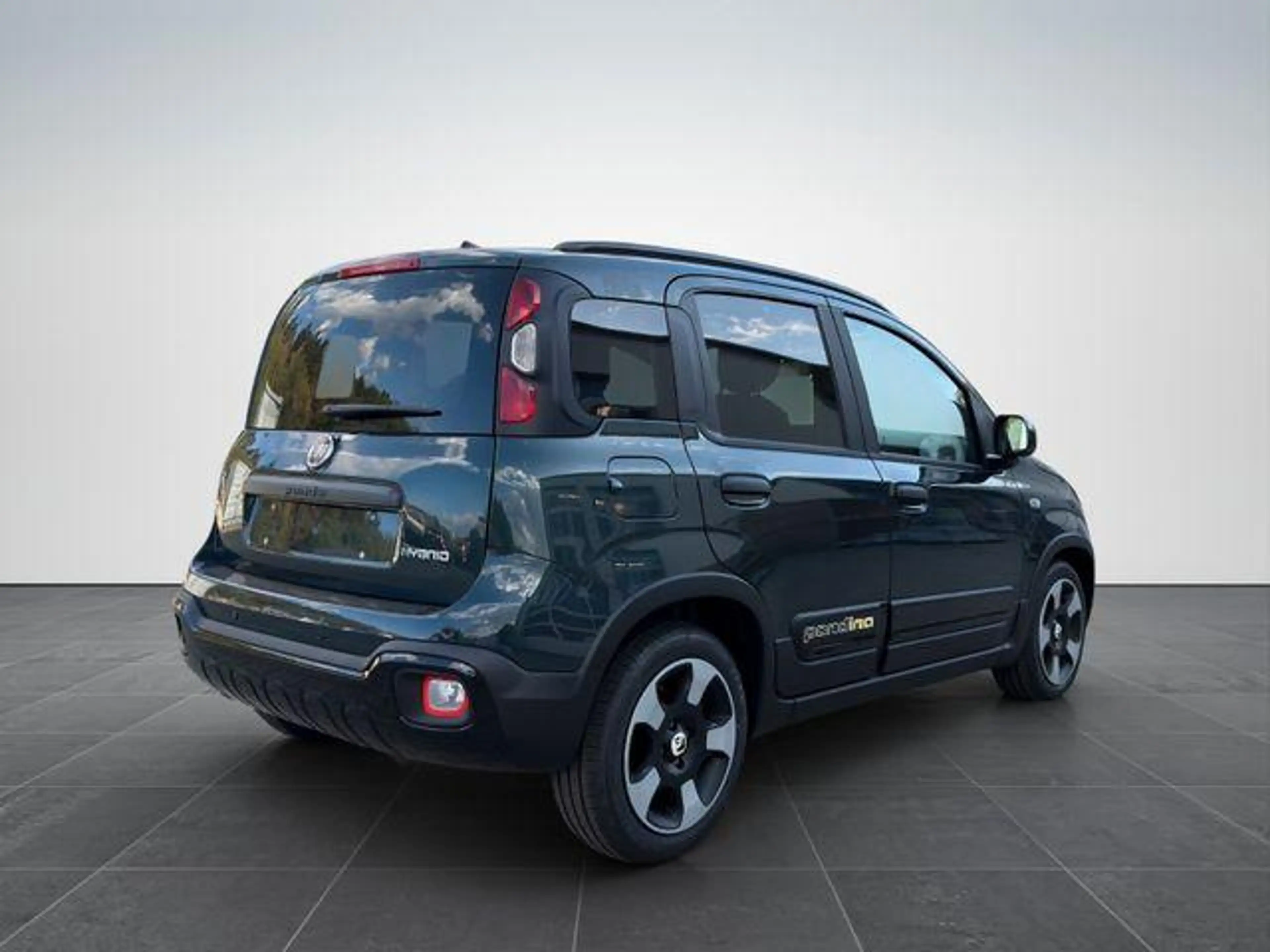 Fiat Panda Pandina Cross 1.0/PDC H/ 7" BildS/PDC 51 kW (69... — photo 4