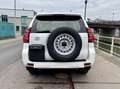 Toyota Land Cruiser Prado Weiß - thumbnail 4