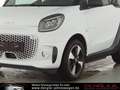 smart forTwo Fortwo Cabrio EQ EXCLUSIVE*22KW*WINTER Passion White - thumbnail 9