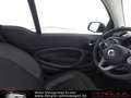 smart forTwo Fortwo Cabrio EQ EXCLUSIVE*22KW*WINTER Passion White - thumbnail 6