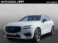 Volvo XC60 B4 Diesel R-Design+360 Grad +AHK Biały - thumbnail 1
