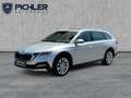 Skoda Octavia 4x4 SCOUT TDI DSG Silber - thumbnail 1