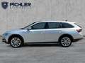 Skoda Octavia 4x4 SCOUT TDI DSG Silber - thumbnail 3