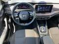 Skoda Octavia 4x4 SCOUT TDI DSG Zilver - thumbnail 12