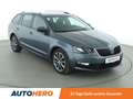 Skoda Octavia 2.0 TDI Drive Aut.*PDC*SHZ*ACC* Gris - thumbnail 8