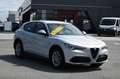 Alfa Romeo Stelvio 2.2 Turbodiesel 160 CV AT8 RWD Business Bianco - thumbnail 3