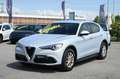 Alfa Romeo Stelvio 2.2 Turbodiesel 160 CV AT8 RWD Business Bianco - thumbnail 1