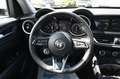 Alfa Romeo Stelvio 2.2 Turbodiesel 160 CV AT8 RWD Business Bianco - thumbnail 16