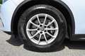 Alfa Romeo Stelvio 2.2 Turbodiesel 160 CV AT8 RWD Business Bianco - thumbnail 10