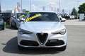Alfa Romeo Stelvio 2.2 Turbodiesel 160 CV AT8 RWD Business Bianco - thumbnail 2