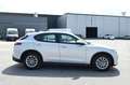 Alfa Romeo Stelvio 2.2 Turbodiesel 160 CV AT8 RWD Business Bianco - thumbnail 4