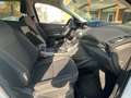 Ford Kuga 1.5 tdci ST-Line Business s&s 2wd 120cv Weiß - thumbnail 22