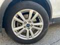 Ford Kuga 1.5 tdci ST-Line Business s&s 2wd 120cv Weiß - thumbnail 10