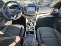 Ford Kuga 1.5 tdci ST-Line Business s&s 2wd 120cv Bianco - thumbnail 11