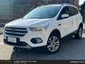 Ford Kuga 1.5 tdci ST-Line Business s&s 2wd 120cv Bianco - thumbnail 1