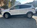 Ford Kuga 1.5 tdci ST-Line Business s&s 2wd 120cv Bianco - thumbnail 8