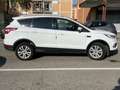 Ford Kuga 1.5 tdci ST-Line Business s&s 2wd 120cv Bianco - thumbnail 4