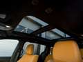 Chrysler Pacifica Hybrid Pinnacle FWD Grau - thumbnail 25