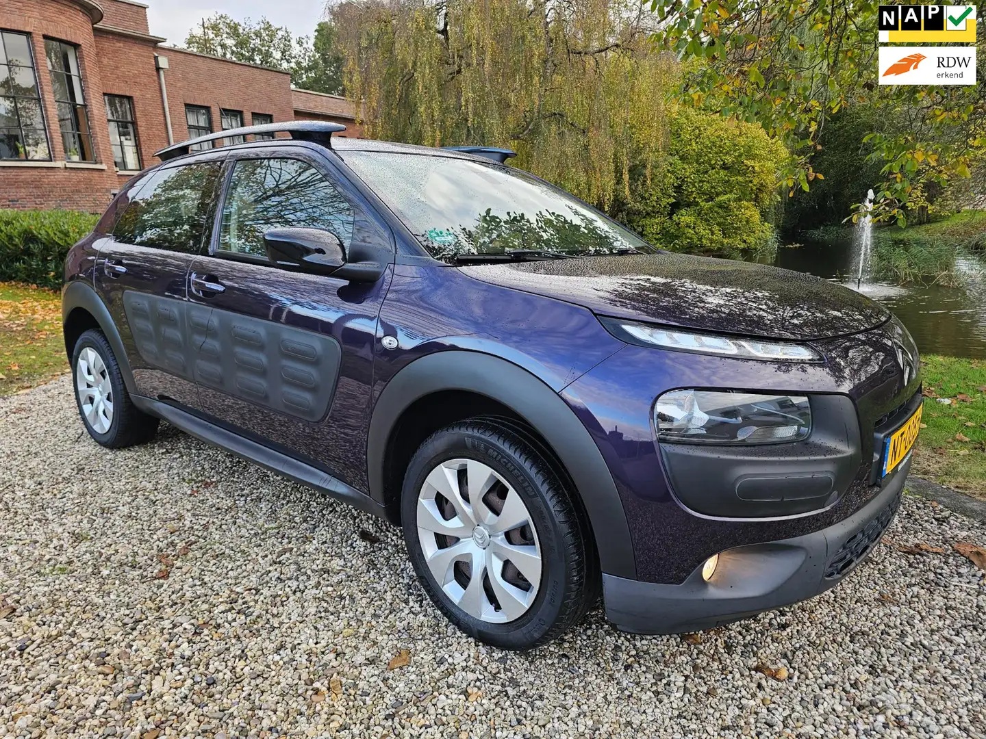 Citroen C4 Cactus 1.2 PureTech Business AUTOMAAT Paars - 1