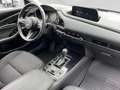 Mazda CX-30 /G122/AT/Comfort+/Style Silber - thumbnail 21