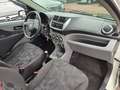 Suzuki Alto Basis/Klima/ Weiß - thumbnail 13