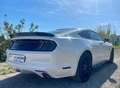 Ford Mustang Fastback 5.0 Ti-VCT GT Aut. Blanco - thumbnail 18