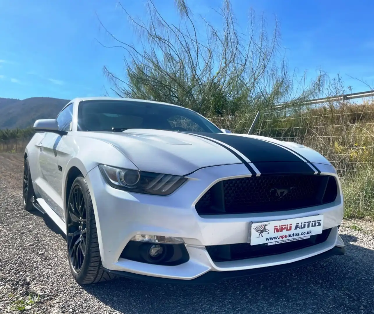 Ford Mustang Fastback 5.0 Ti-VCT GT Aut. Blanc - 2