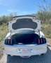 Ford Mustang Fastback 5.0 Ti-VCT GT Aut. Blanco - thumbnail 24