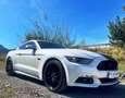 Ford Mustang Fastback 5.0 Ti-VCT GT Aut. Blanco - thumbnail 1