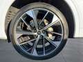 Audi Q5 TFSI e S line 50 e quattro S tronic Navi Kame Wit - thumbnail 17