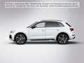 Audi Q5 TFSI e S line 50 e quattro 220(299) kW(PS) S Weiß - thumbnail 3