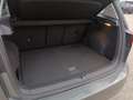 Volkswagen Golf Sportsvan 1,6 TDI SCR Highline DSG, NAVI, RADAR, Voll-Leder Grau - thumbnail 14