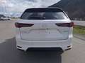 Mazda CX-60 2,5 BENZIN-PHEV AUT AWD HOMURA COSO TLOP MY26 Weiß - thumbnail 5