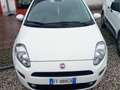 Fiat Punto 5p 1.2 Street E6 White - thumbnail 1