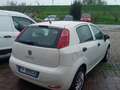 Fiat Punto 5p 1.2 Street E6 Bianco - thumbnail 3