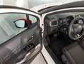 Citroen C3 1.2 PURETECH 110CV EAT6 SHINE Bianco - thumbnail 17
