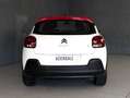 Citroen C3 1.2 PURETECH 110CV EAT6 SHINE Bianco - thumbnail 13