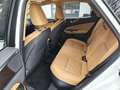 Lexus NX 450h+ NX 450h+ E-FOUR Business*Connect Paket Plug-In Blanc - thumbnail 7