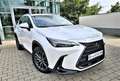 Lexus NX 450h+ NX 450h+ E-FOUR Business*Connect Paket Plug-In Blanc - thumbnail 2