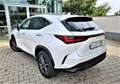 Lexus NX 450h+ NX 450h+ E-FOUR Business*Connect Paket Plug-In Blanc - thumbnail 5