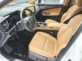 Lexus NX 450h+ NX 450h+ E-FOUR Business*Connect Paket Plug-In Blanc - thumbnail 6