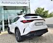 Lexus NX 450h+ NX 450h+ E-FOUR Business*Connect Paket Plug-In Blanc - thumbnail 3