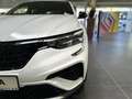 Renault Arkana Techno Mild Hybrid 140 EDC Weiß - thumbnail 39