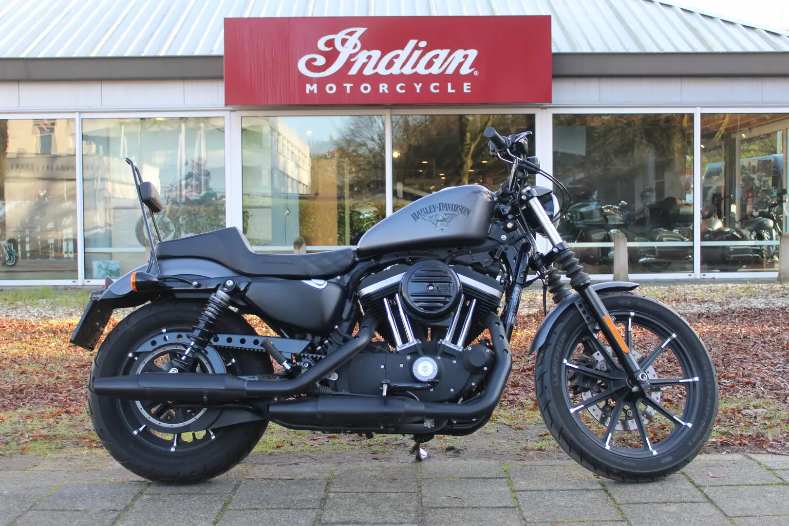 Harley-Davidson Sportster 883 Iron XL883N Grijs - 1