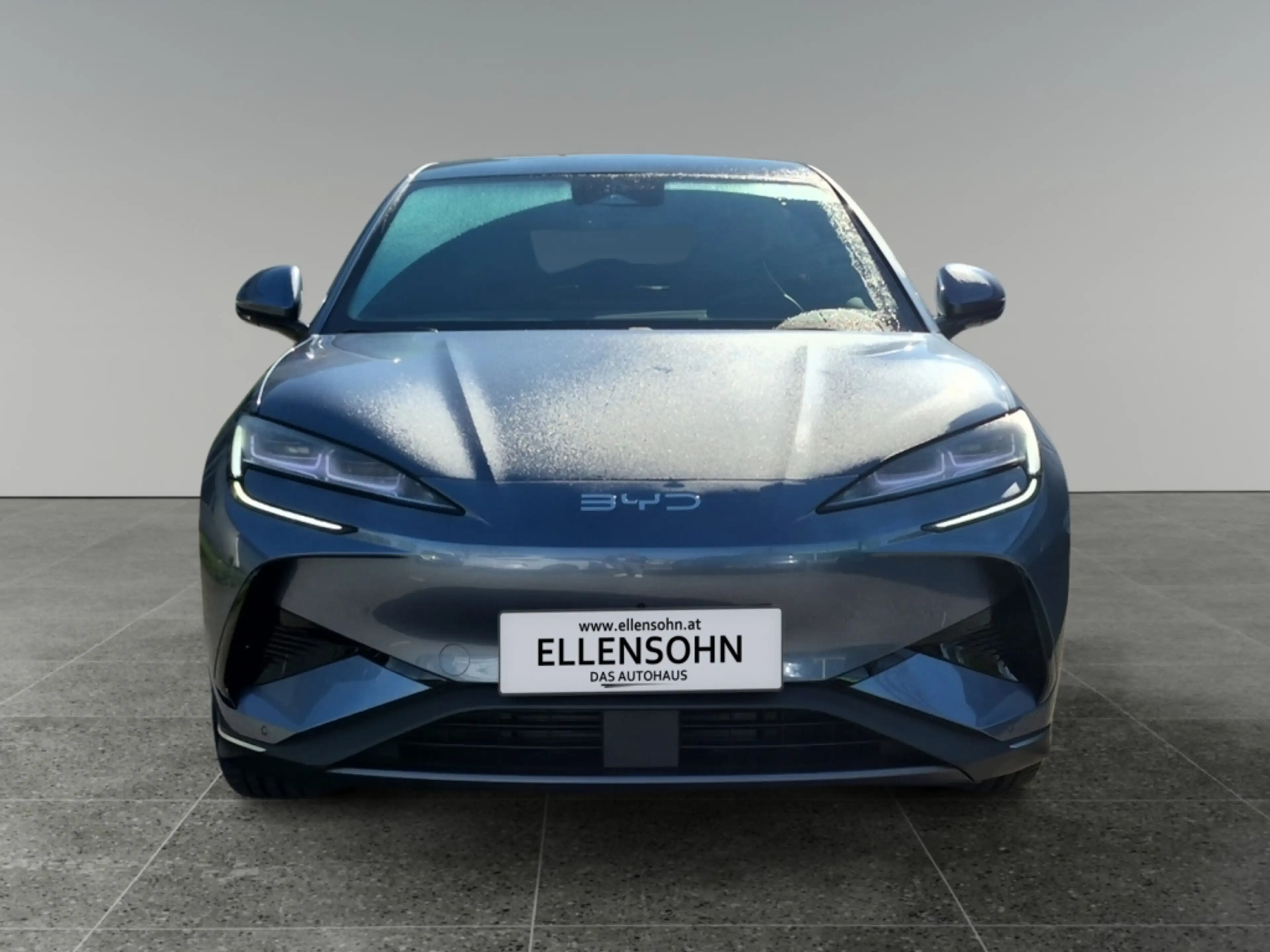 BYD Sealion 7 Excellence AWD — photo 8