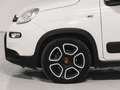 Fiat Panda 1.0 FireFly S&S Hybrid City Life Bianco - thumbnail 5