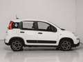 Fiat Panda 1.0 FireFly S&S Hybrid City Life White - thumbnail 2