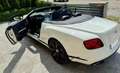 Bentley Continental Continental GTC GT V8 S Convertible Weiß - thumbnail 6