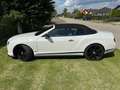 Bentley Continental Continental GTC GT V8 S Convertible Weiß - thumbnail 2